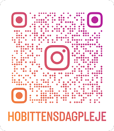 Instagram profil